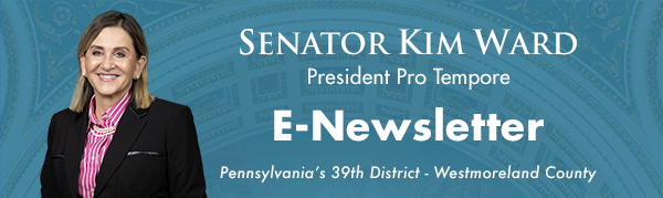 Redesign – Senator Ward, K E-Newsletter