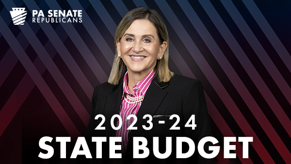 Senate President Pro Tempore Kim Ward Provides Budget Update